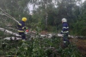 Валило дерева, а люди ловили курчат, щоб не втопилися... (Фото, відео)