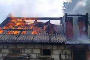 У Володимирі-Волинському рятувальники приборкували червоного півня