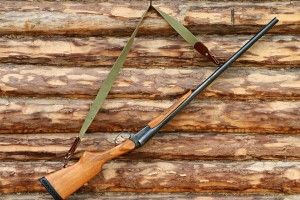 Двоє волинських браконьєрів можуть заплатити за підстрелену козулю 32 тисячі гривень