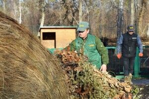 Волинські лісівники допомогли Луцькому зоопарку