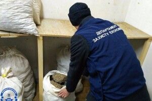 Бурштин вилучають вже тоннами