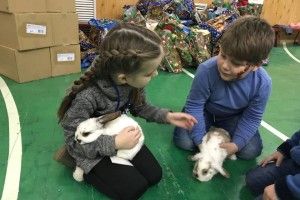 Кролики, черепахи, хамелеони та жаби-квакші підкорили серця дітей полеглих бійців ООС/АТО (фото)