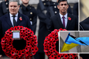 Прем'єр Британії вшанував пам'ять воїнів, які загинули в боях за Україну (Відео)