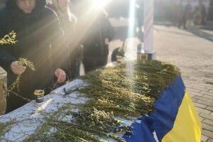 У Луцьку волонтери напродавали верби на понад 55 тисяч для ЗСУ 