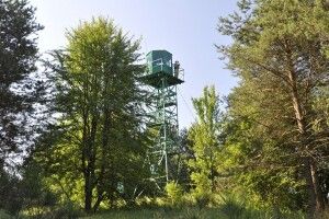 Біля українсько-білоруського кордону затримали громадянку РФ