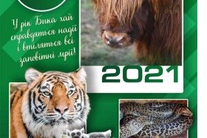 Луцький зоопарк випустив свій календар на 2021 рік