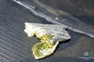32-річного волинянина, якого підозрюють у торгівлі канабісом, взяли під варту