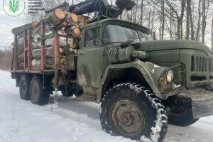 У заповіднику на Волині затримали крадіїв лісу «на гарячому»