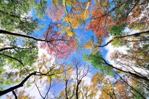 Зміни в Україні з 1 вересня: мобілізація, зарплати, пенсії, соціальна допомога, курс долара та ціни