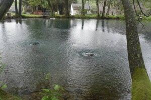 «Не біжить і навіть не капає»: унікальне джерело Волині опинилося під загрозою