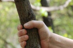 Приревнував: на Волині пенсіонер побив співмешканку палицею до смерті