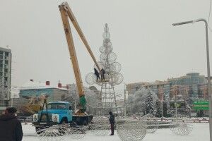 Біля «Променя» встановлюють ялинку