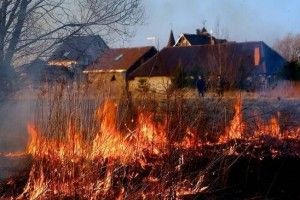 Разом із сміттям господар спалив господарське приміщення