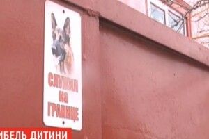 Від укусів собаки дитина померла миттєво