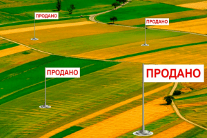 Фейкові фермери скуповують для агрохолдингів по 100 га землі – Тимошенко 
