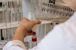 На Закарпатті члени виборчої комісії поласували олів'є і не змогли рахувати голоси