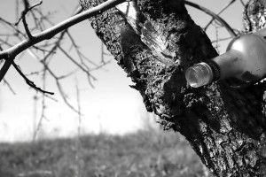 Оковита забрала життя мешканця Рівненщини