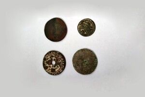 285 вилучених на Волинській митниці предметів старовини передадуть у шість музеїв