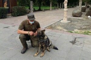 Майже пів сотні затримань: луцькі нацгвардійці рік самостійно патрулюють вулиці