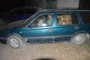 Поліція затримала трьох волинян, які незаконно нарізали машину дров (Фото) 