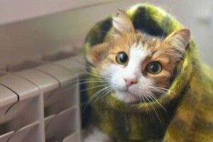 Стало відомо, коли у Луцькій громаді розпочнеться опалювальний сезон