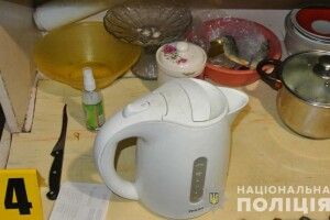 За вбивство співмешканця волинянку засудили на 7 років