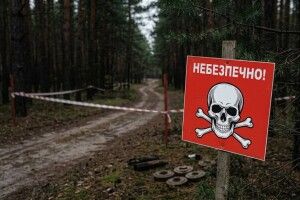 Волинян попередили про небезпеку у лісі