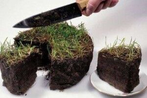 Земельний дерибан: замість представництва Єврокомісії у центрі Києва буде бізнес депутата з ОПЗЖ