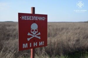 Волинські піротехніки знешкодили артснаряди