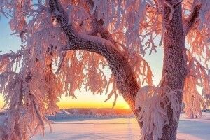 Йдуть морози: як вберегтися від переохолодження