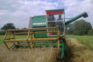 Жнивна кампанія для камінь-каширських аграріїв буде досить важкою і з втратами
