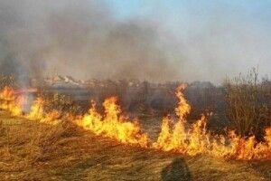 Рівнянам нагадали розміри штрафів за підпал сухостою