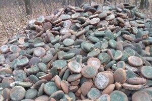 Серед лісу чоловік натрапив на хлібну «гору»