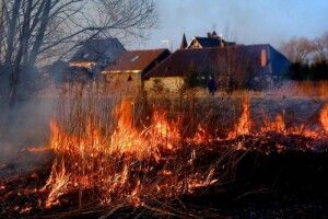 На Рівненщині на гарячому спіймали паліїв трави (Фото)