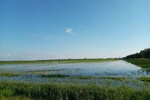 Наслідки стихії: на Ратнівщині за добу викачали 290 тисяч м.куб. води