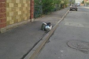 Сміття до Луцька звозять мешканці навколишніх сіл 