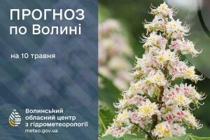 На скільки часу задощило на Волині
