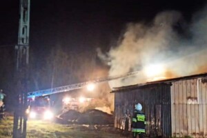 У Польщі трьох п'яних українців затримали за підпал птахоферми і проникнення у магазин 