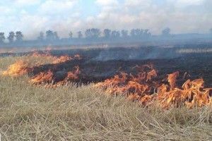 Рятувальники закликають не спалювати суху рослинність! (Фото)