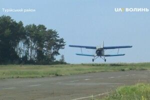 На Волині вакцину диким м’ясоїдним тваринам розкидають з повітря