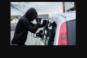 На Волині упіймали «спеціаліста» зі зламу автомобілів (Відео)