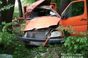 У Луцькому районі «Mercedes» врізався у дерево 