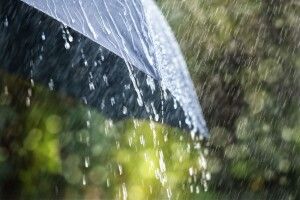 Нарешті прохолода: волинські синоптики дали свіжий прогноз погоди