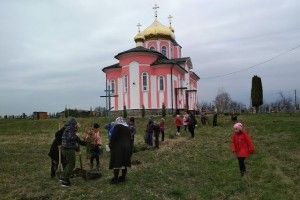 У Вишневі діти з лісівниками озеленювали церковне подвір’я