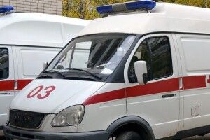 На Рівненщині у центрі міста жінку вкусив дикий звір