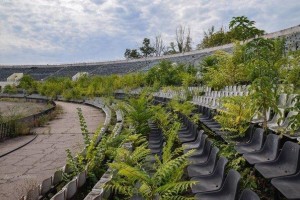 В мережі показали «окупований» бур’яном стадіон «Шахтар» у Донецьку