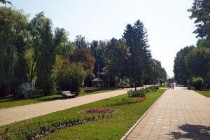 У Луцьку на круглому столі говоритимуть про торгівлю в Центральному парку культури і відпочинку імені Лесі Українки