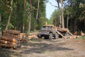 Ківерцівські лісівники сплатили 18 мільйонів податків