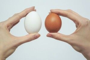 Колір шкаралупи яйця на смак не впливає