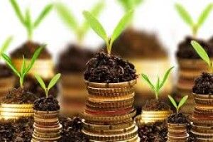 На Волині місцеві бюджети отримали понад 137 мільйонів гривень плати за землю